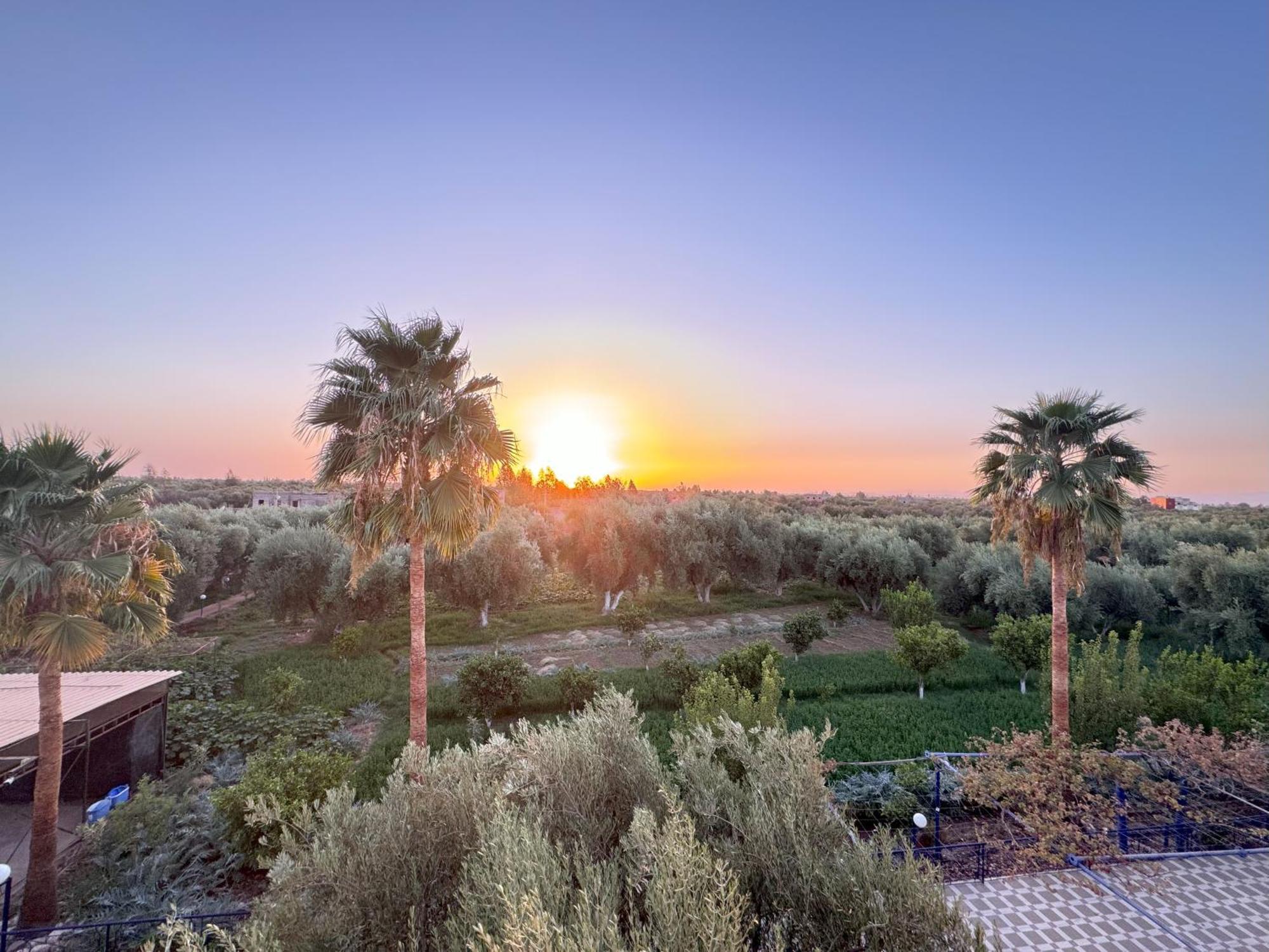 Eco Farm Tayssir Hotel Marrakesh Exterior photo