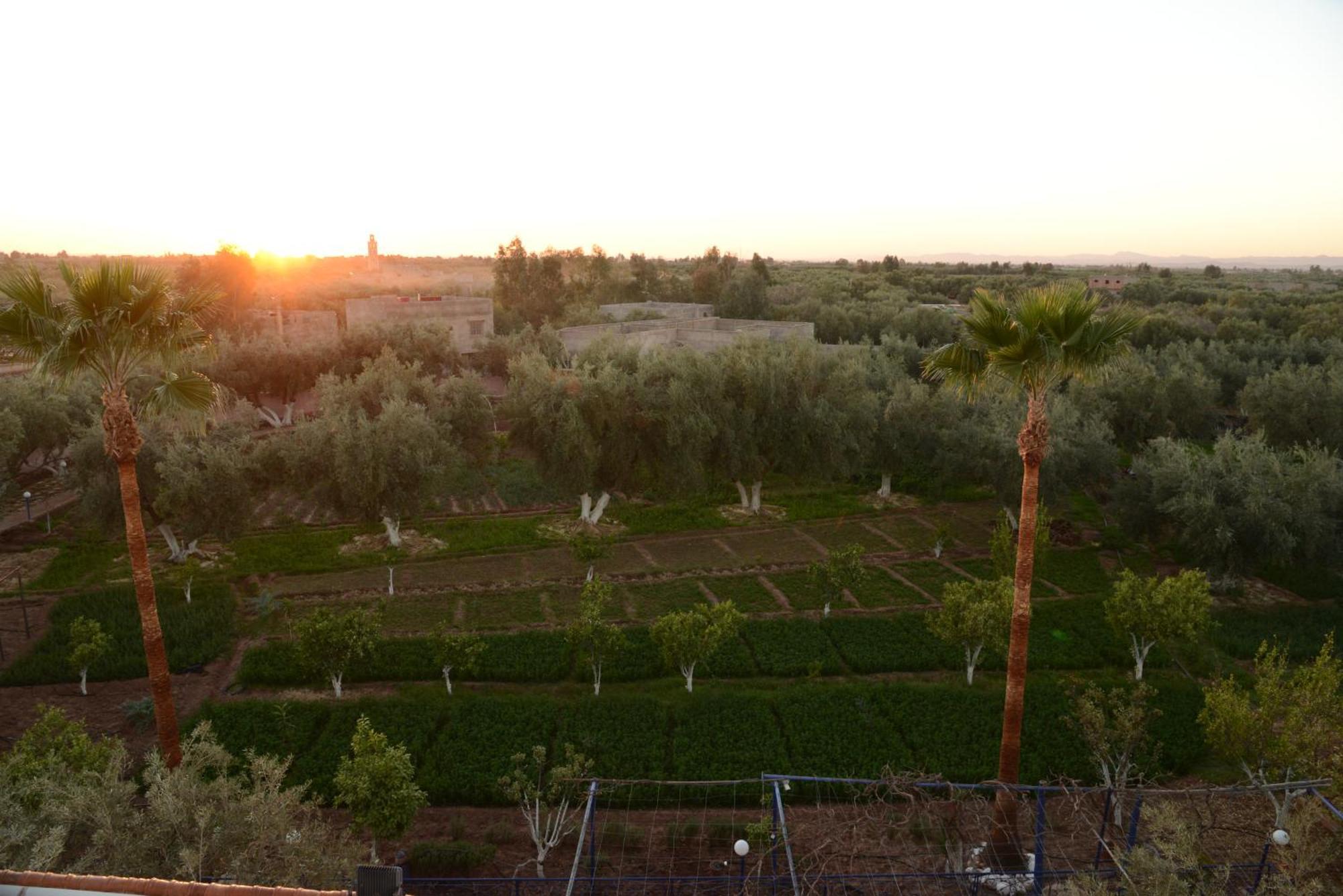 Eco Farm Tayssir Hotel Marrakesh Exterior photo